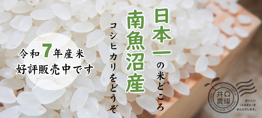 令和７年産米販売中